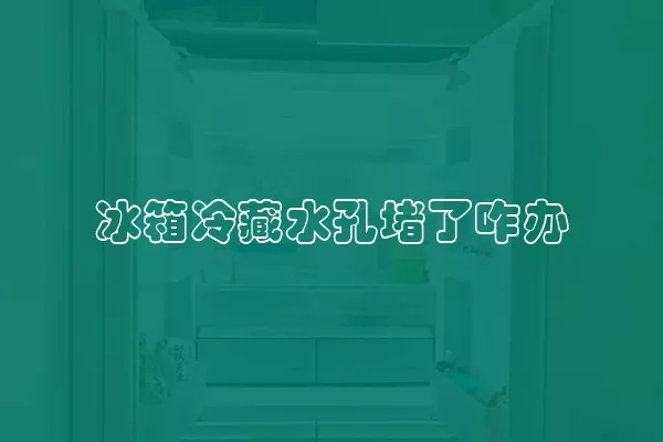 冰箱冷藏水孔堵了咋办