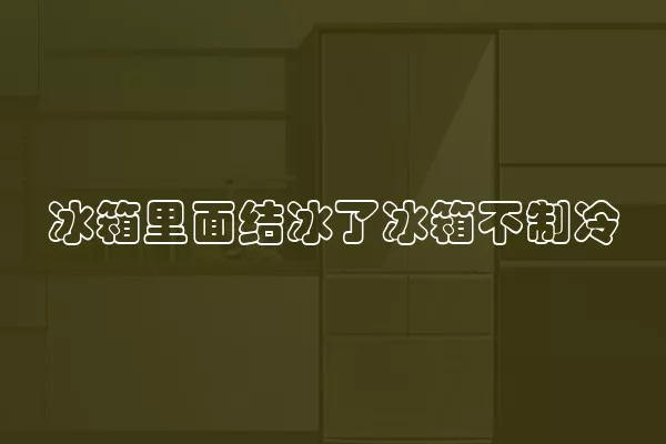 冰箱里面结冰了冰箱不制冷