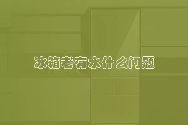 冰箱老有水什么问题