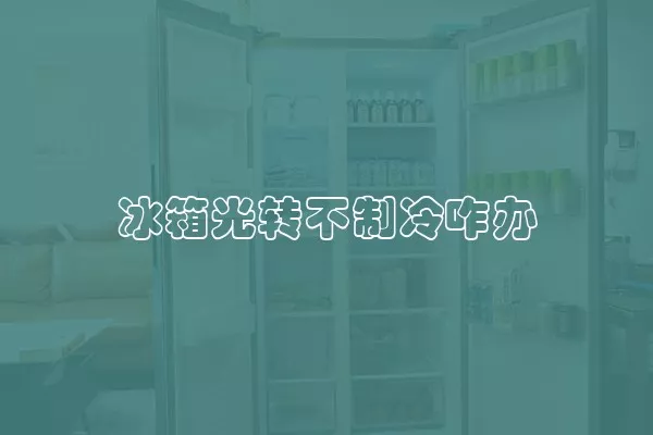 冰箱光转不制冷咋办