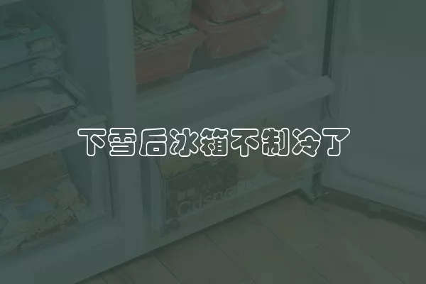 下雪后冰箱不制冷了