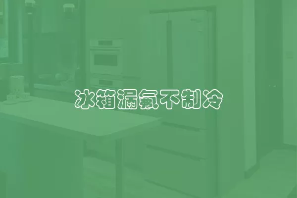 冰箱漏氟不制冷