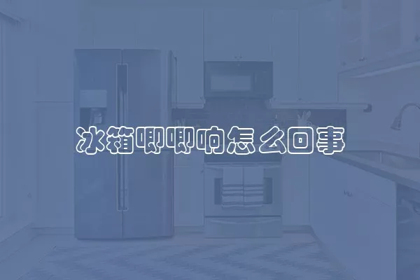 冰箱唧唧响怎么回事