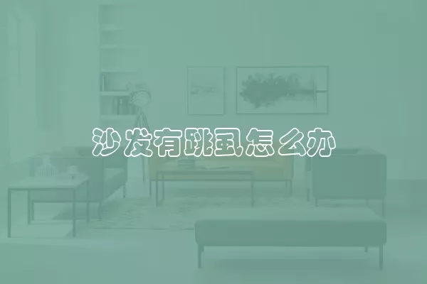 沙发有跳虱怎么办