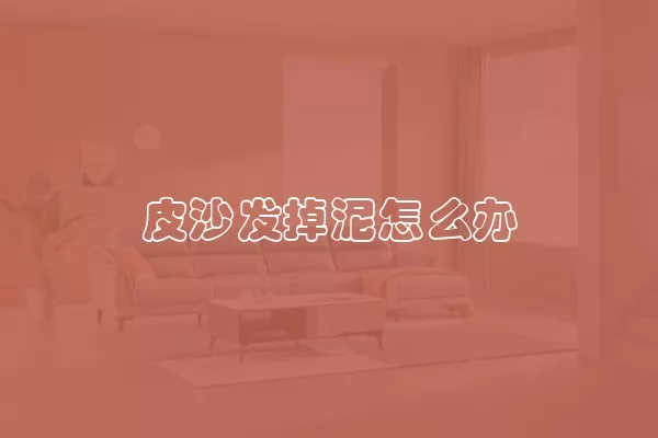 皮沙发掉泥怎么办