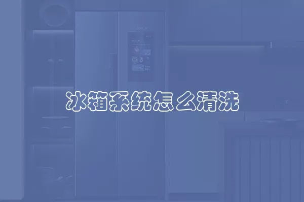 冰箱系统怎么清洗