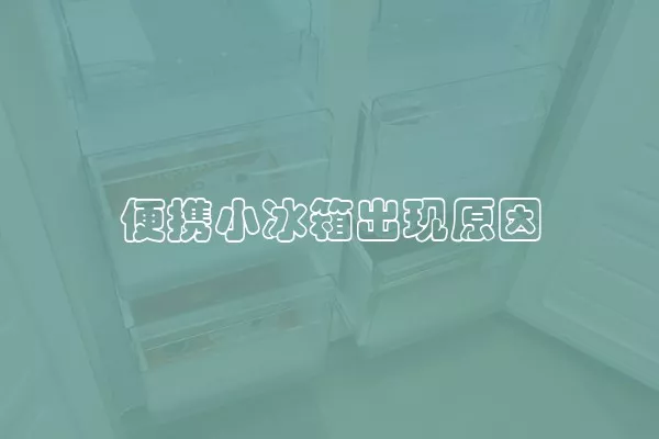 便携小冰箱出现原因