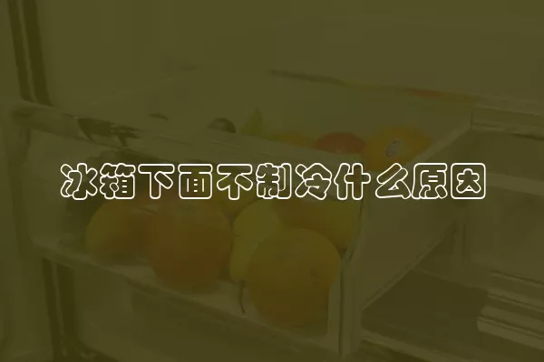 冰箱下面不制冷什么原因