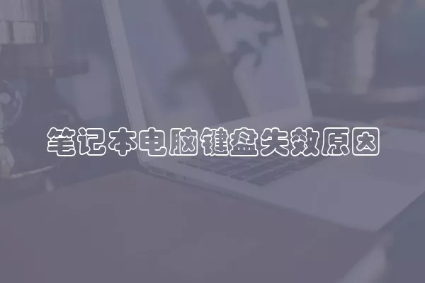 笔记本电脑键盘失效原因