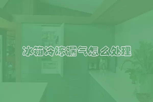 冰箱冷冻漏气怎么处理