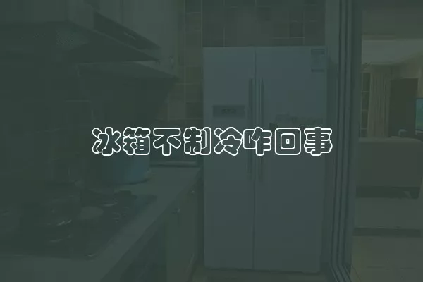 冰箱不制冷咋回事