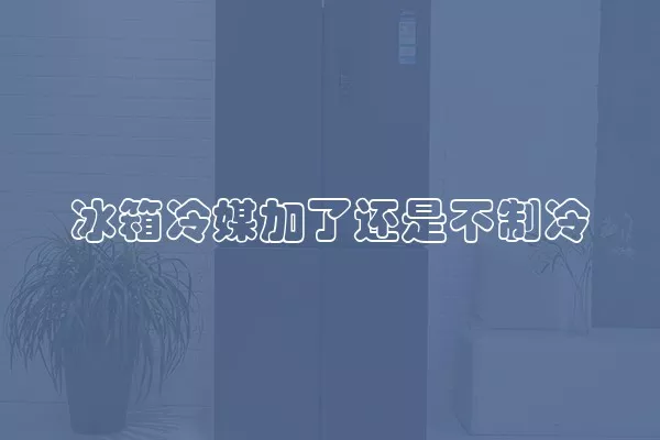 冰箱冷媒加了还是不制冷