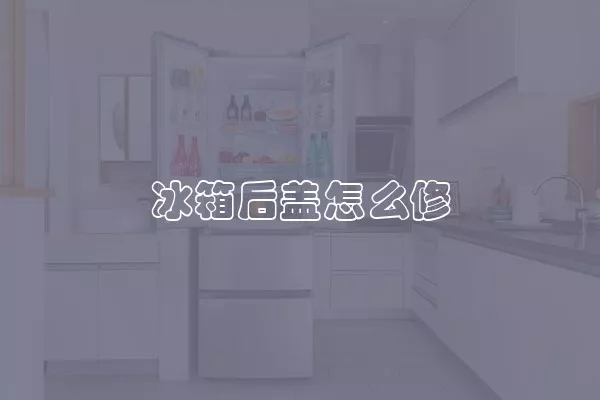 冰箱后盖怎么修