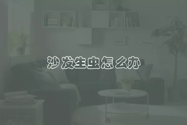 沙发生虫怎么办