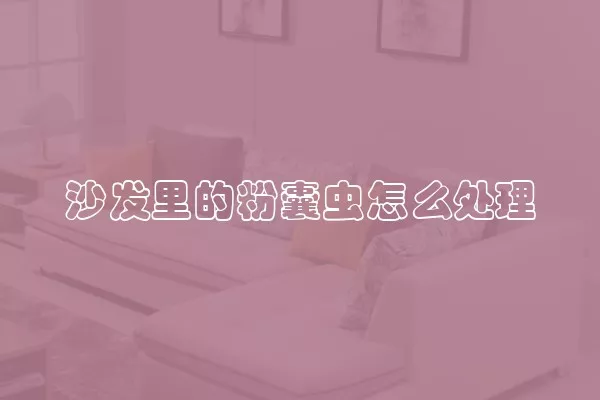 沙发里的粉囊虫怎么处理