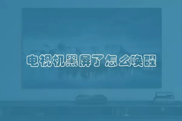 电视机黑屏了怎么唤醒