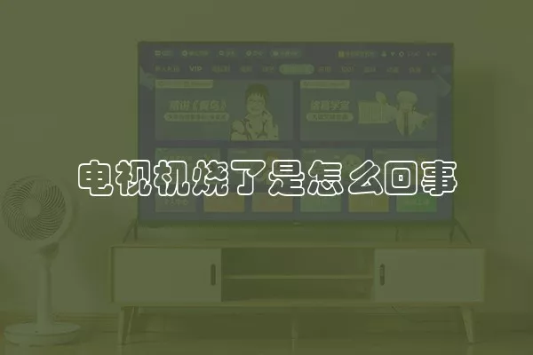 电视机烧了是怎么回事