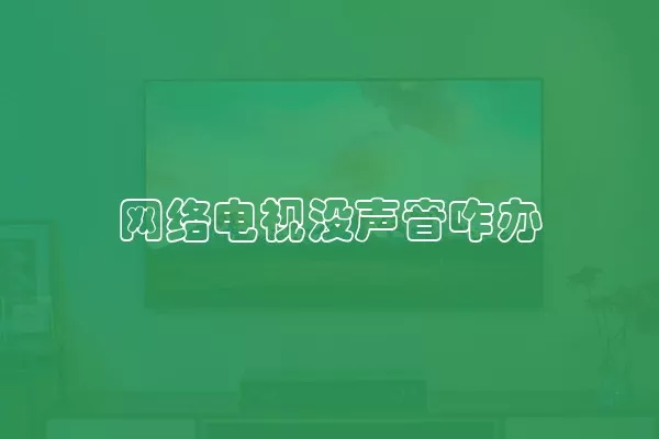 网络电视没声音咋办
