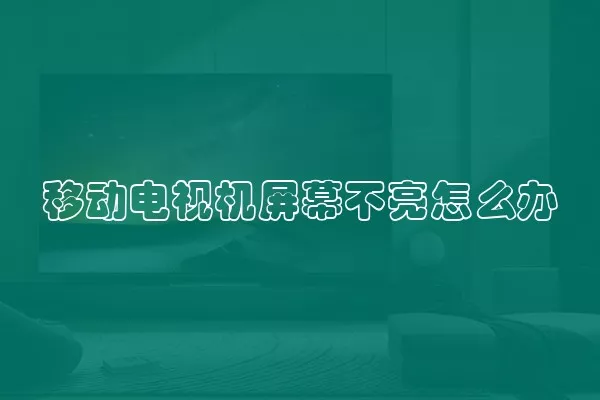 移动电视机屏幕不亮怎么办