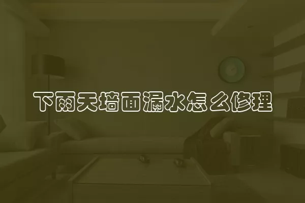 下雨天墙面漏水怎么修理
