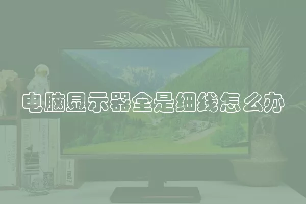 电脑显示器全是细线怎么办