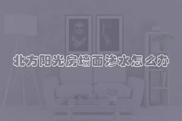 北方阳光房墙面渗水怎么办