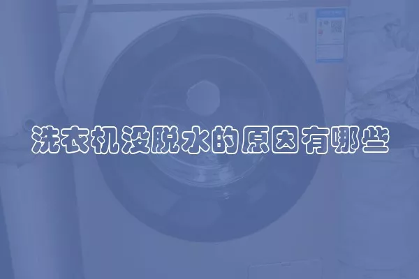 洗衣机没脱水的原因有哪些