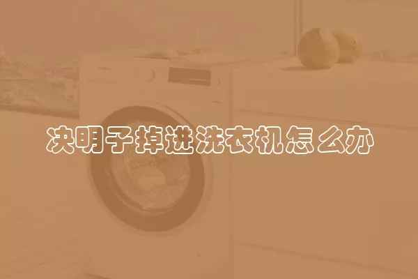 决明子掉进洗衣机怎么办