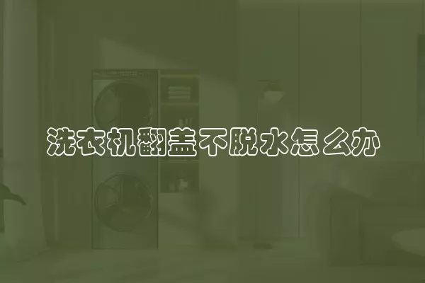 洗衣机翻盖不脱水怎么办