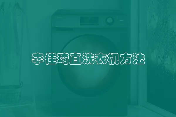 李佳琦直洗衣机方法
