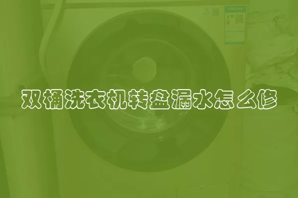 双桶洗衣机转盘漏水怎么修