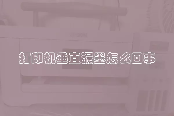 打印机垂直漏墨怎么回事