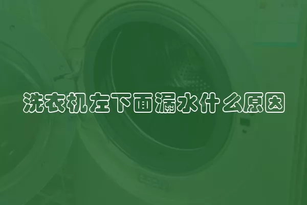 洗衣机左下面漏水什么原因