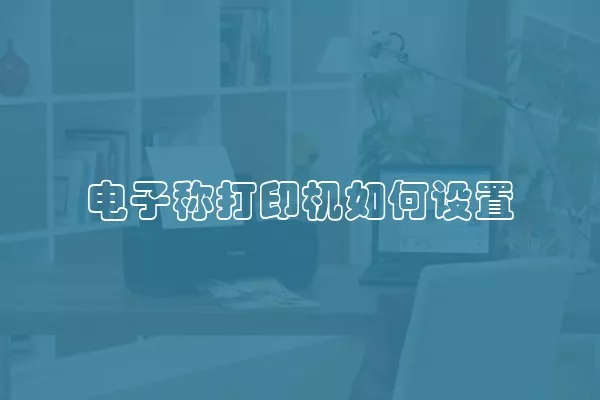 电子称打印机如何设置