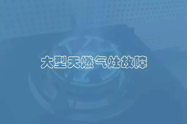 大型天燃气灶故障