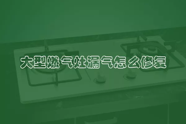 大型燃气灶漏气怎么修复