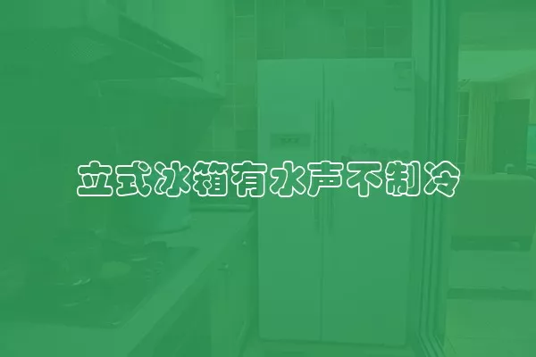 立式冰箱有水声不制冷