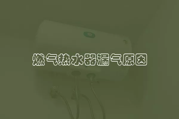 燃气热水器漏气原因