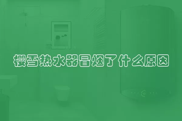 樱雪热水器冒烟了什么原因