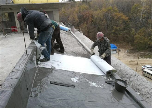 丙纶布屋顶防水寿命一般是多少