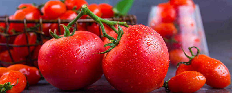 番茄能放冰箱保鲜吗？番茄可以放冰箱里面保存吗？