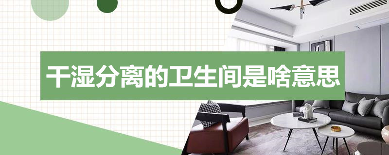 干湿分离的卫生间是啥意思