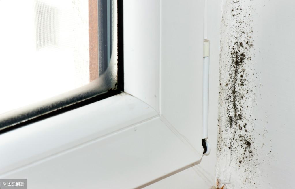 室内墙面霉迹斑斑，如何做好防水处理？