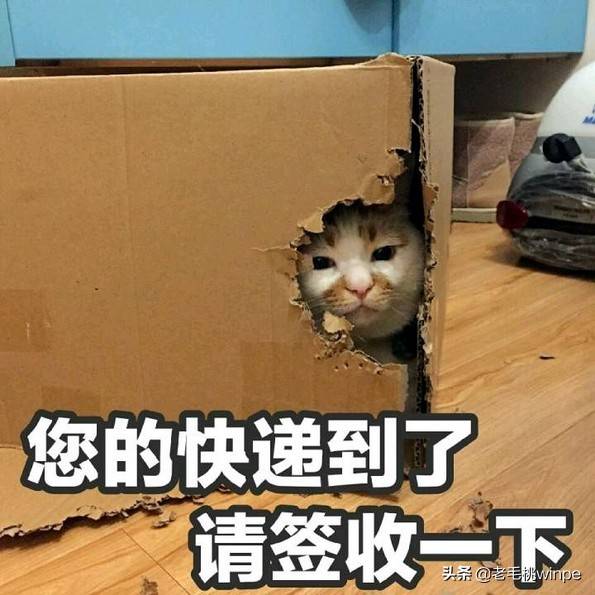 电脑系统哪个最好(家用电脑装什么系统好)