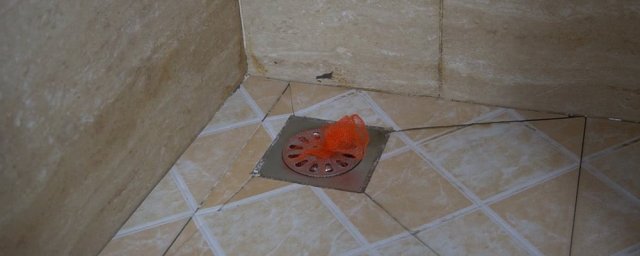 卫生间下水道反味儿的解决办法