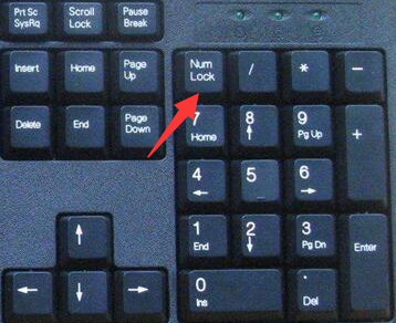 教你键盘不能输入数字怎么办