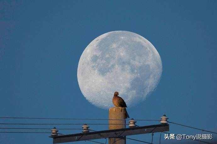 摄影技巧!如何拍摄月亮?教你拍出有意境的月亮