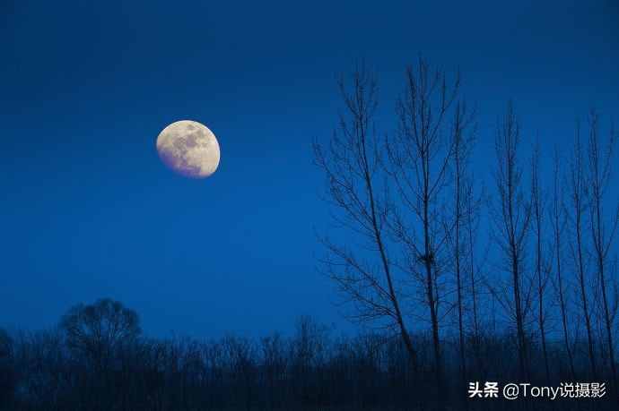 摄影技巧!如何拍摄月亮?教你拍出有意境的月亮