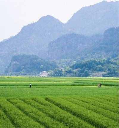 平方公里与亩的换算（手机测量土地面积）